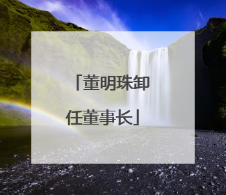 董明珠卸任董事长