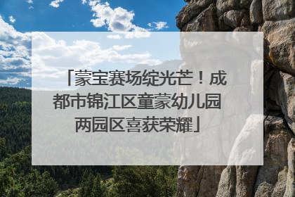 蒙宝赛场绽光芒！成都市锦江区童蒙幼儿园两园区喜获荣耀