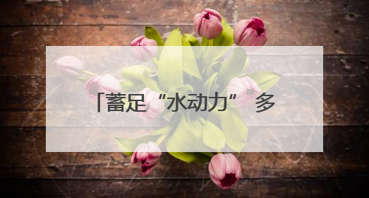 蓄足“水动力” 多地抗旱保粮一线观察