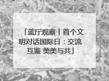蓝厅观察丨首个文明对话国际日：交流互鉴 美美与共