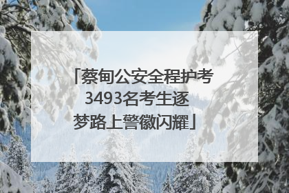 蔡甸公安全程护考 3493名考生逐梦路上警徽闪耀