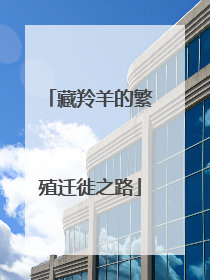 藏羚羊的繁殖迁徙之路
