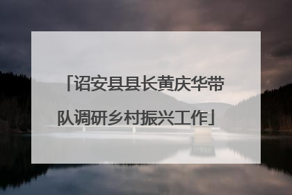 诏安县县长黄庆华带队调研乡村振兴工作
