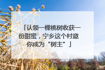 认领一棵桃树收获一份甜蜜，宁乡这个村邀你成为“树主”
