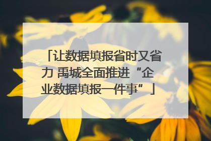 让数据填报省时又省力 禹城全面推进“企业数据填报一件事”