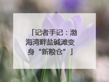 记者手记：渤海湾畔盐碱滩变身“新粮仓”