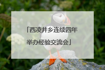 西凌井乡连续四年举办经验交流会