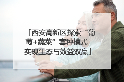 西安高新区探索“葡萄+蔬菜”套种模式 实现生态与效益双赢