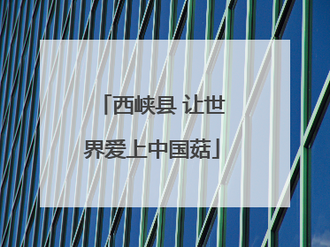 西峡县 让世界爱上中国菇