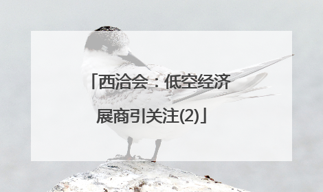 西洽会：低空经济展商引关注(2)