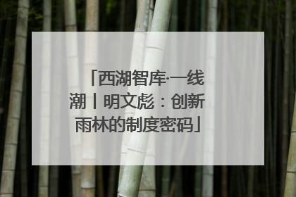 西湖智库·一线潮丨明文彪：创新雨林的制度密码
