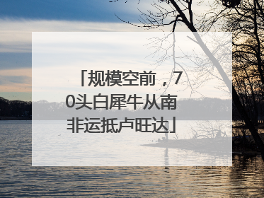 规模空前，70头白犀牛从南非运抵卢旺达