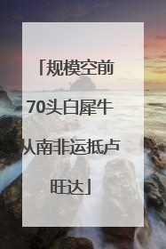 规模空前 70头白犀牛从南非运抵卢旺达