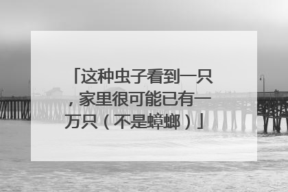 这种虫子看到一只，家里很可能已有一万只（不是蟑螂）