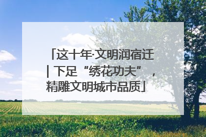 这十年·文明润宿迁｜下足“绣花功夫”，精雕文明城市品质