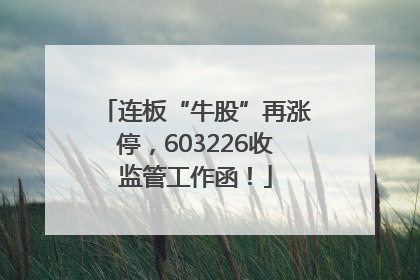 连板“牛股”再涨停，603226收监管工作函！