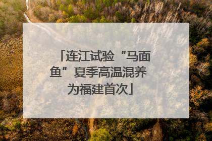 连江试验“马面鱼”夏季高温混养 为福建首次