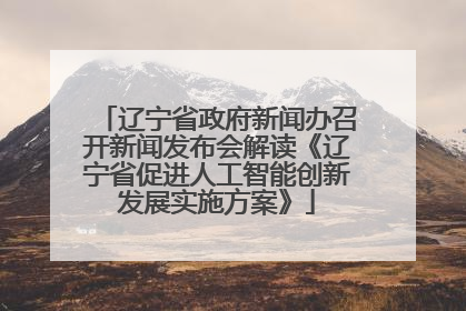 辽宁省政府新闻办召开新闻发布会解读《辽宁省促进人工智能创新发展实施方案》