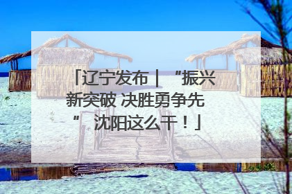 辽宁发布｜“振兴新突破 决胜勇争先” 沈阳这么干！