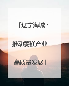 辽宁海城：推动菱镁产业高质量发展
