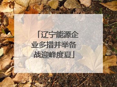 辽宁能源企业多措并举备战迎峰度夏