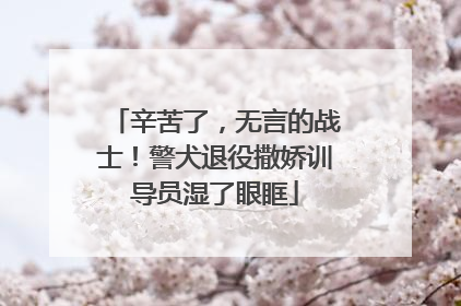 辛苦了，无言的战士！警犬退役撒娇训导员湿了眼眶