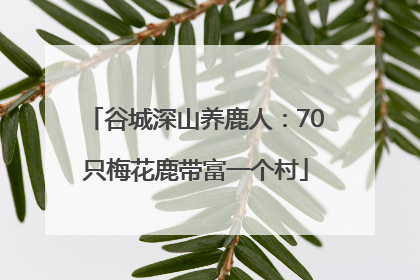 谷城深山养鹿人：70只梅花鹿带富一个村