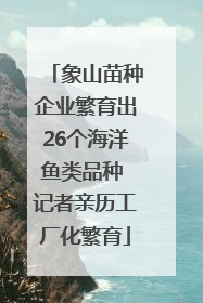 象山苗种企业繁育出26个海洋鱼类品种 记者亲历工厂化繁育