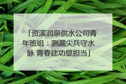 资溪润泉供水公司青年班组：测漏尖兵守水脉 青春建功显担当