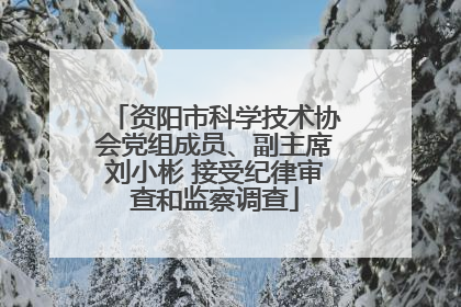资阳市科学技术协会党组成员、副主席刘小彬 接受纪律审查和监察调查
