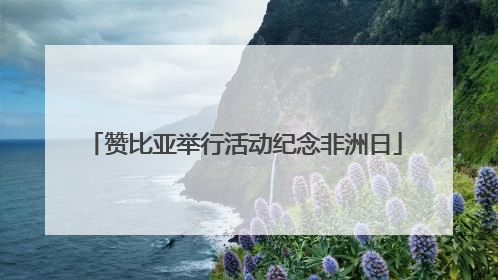 赞比亚举行活动纪念非洲日