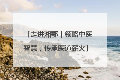 走进湘鄂｜领略中医智慧，传承医道薪火