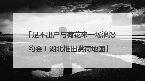 足不出户与荷花来一场浪漫约会！湖北推出赏荷地图