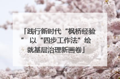 践行新时代“枫桥经验” 以“四步工作法”绘就基层治理新画卷