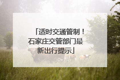 适时交通管制！石家庄交管部门最新出行提示