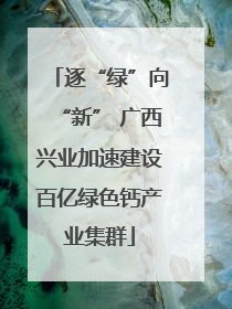 逐“绿”向“新” 广西兴业加速建设百亿绿色钙产业集群