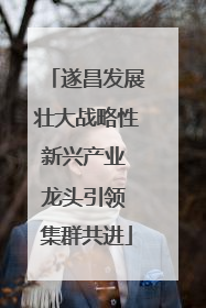 遂昌发展壮大战略性新兴产业 龙头引领 集群共进