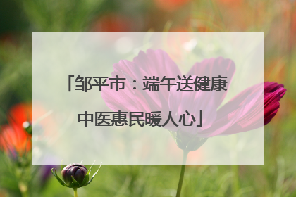邹平市：端午送健康 中医惠民暖人心