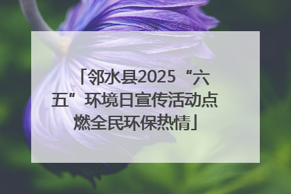 邻水县2025“六五”环境日宣传活动点燃全民环保热情