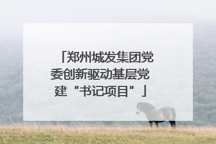 郑州城发集团党委创新驱动基层党建“书记项目”