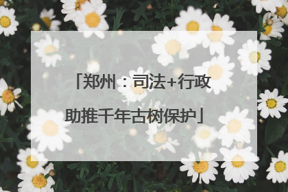 郑州：司法+行政助推千年古树保护