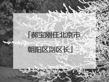 郝宝刚任北京市朝阳区副区长