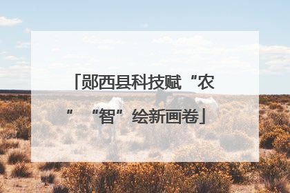 郧西县科技赋“农”“智”绘新画卷