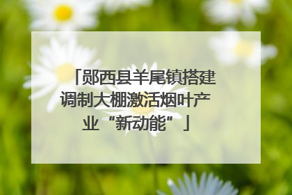 郧西县羊尾镇搭建调制大棚激活烟叶产业“新动能”