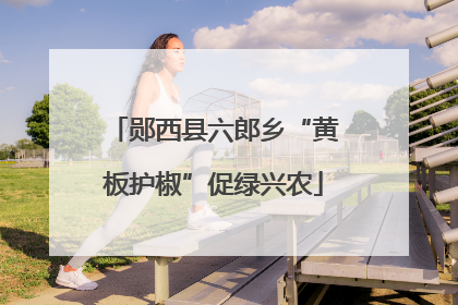 郧西县六郎乡“黄板护椒”促绿兴农