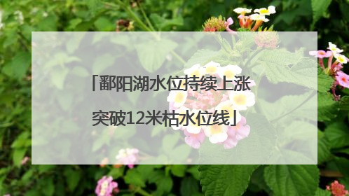 鄱阳湖水位持续上涨 突破12米枯水位线