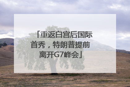 重返白宫后国际首秀，特朗普提前离开G7峰会