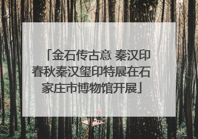 金石传古意 秦汉印春秋秦汉玺印特展在石家庄市博物馆开展