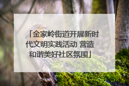 金家岭街道开展新时代文明实践活动 营造和谐美好社区氛围