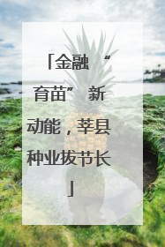 金融 “育苗” 新动能，莘县种业拔节长